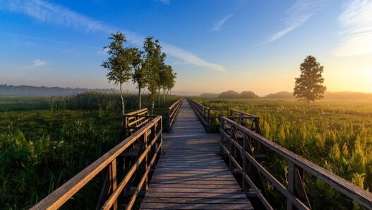 Fashion and Sustainable Consumption